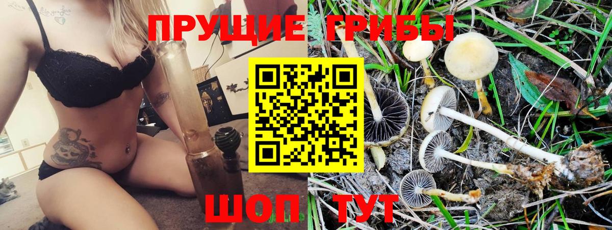 Галлюциногенные грибы Magic Shrooms Надым