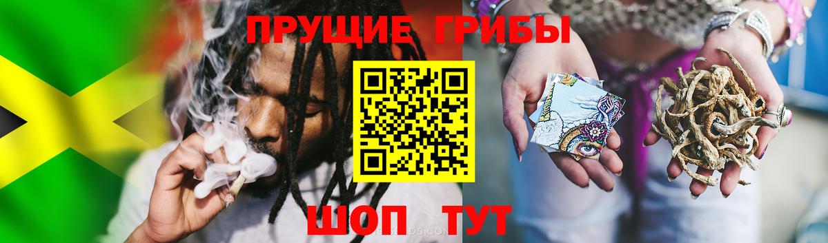 Надым  Псилоцибиновые грибы Psilocybe  Псилоцибиновые грибы мухоморы  Вход с VPN 